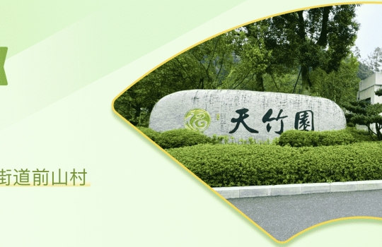 滨江这家公建民营康复医院火了！脑梗 / 失智 / 重症一站式医养，家属省心少奔波