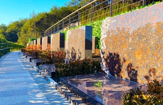 杭州康祥医院｜拱墅老牌老年康复专科医院！顾连医疗旗下，医保定点，神经 / 精神 / 老年病一站式诊疗